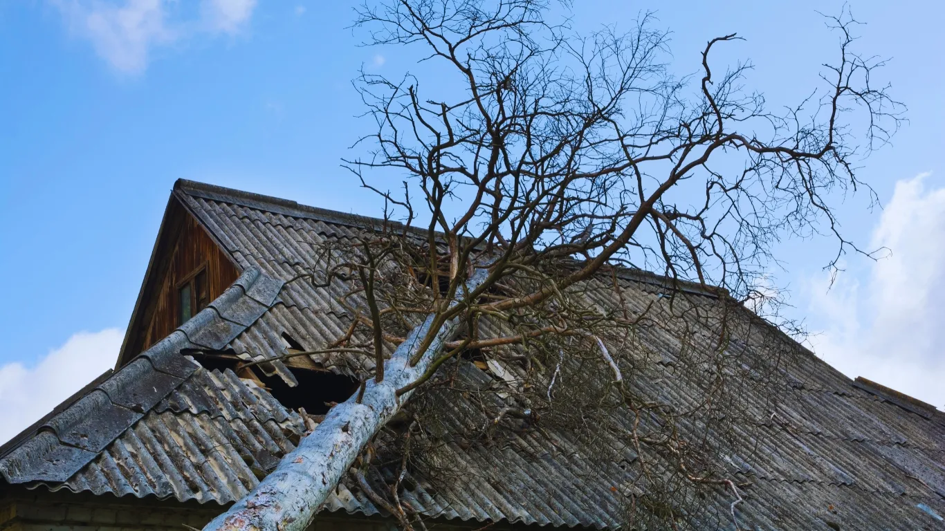 Damaged residential roof with fallen tree after storm, requiring emergency roof inspection and repair for safety and protection.