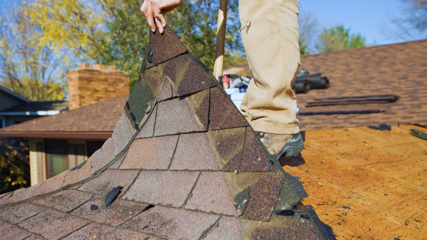 Roofer removing old damaged shingles during residential roof inspection and replacement to prepare for new installation.